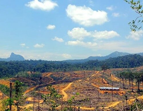 Geospatial & Informatics