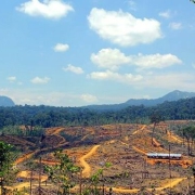 Geospatial & Informatics